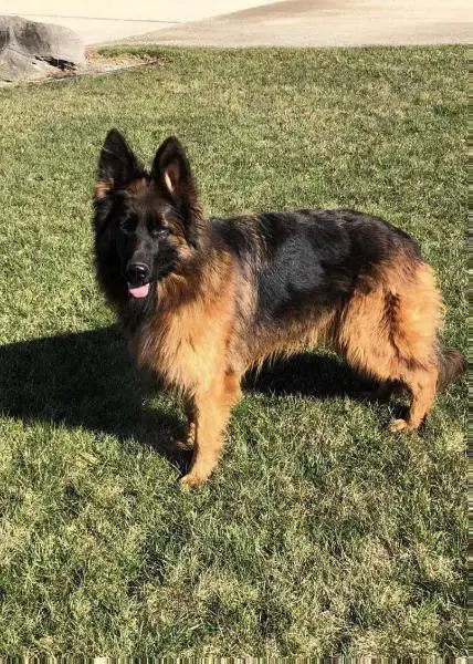 SG Qyra Team di Casa Ortiz