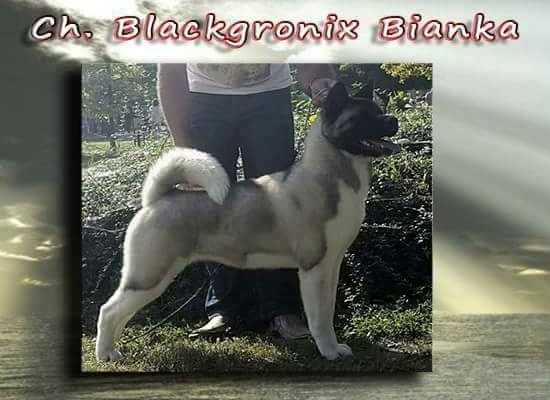 Blackgronix Bianka