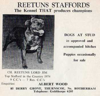 Int. GB US CA MX Ch Reetuns Lord Jim