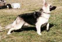 Silber Jagganath Vom Nixon