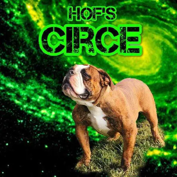 HOF's Circe