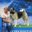 RUS/RKF CH Helengal Zorabell Crimean Triumph