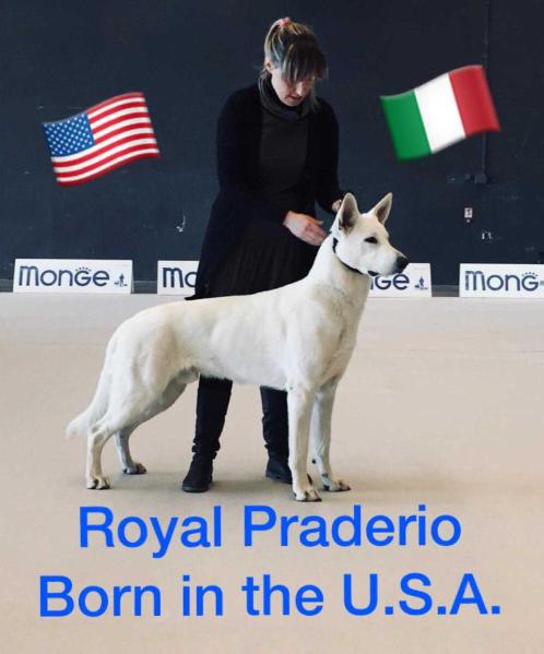 Royal Praderio Born in the USA