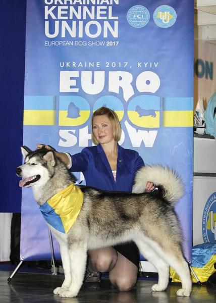 Europian JW`14  JCh Ukraine, Czech, CH Ukraine, Lithuania PANDORA VASILYEV OSTROV