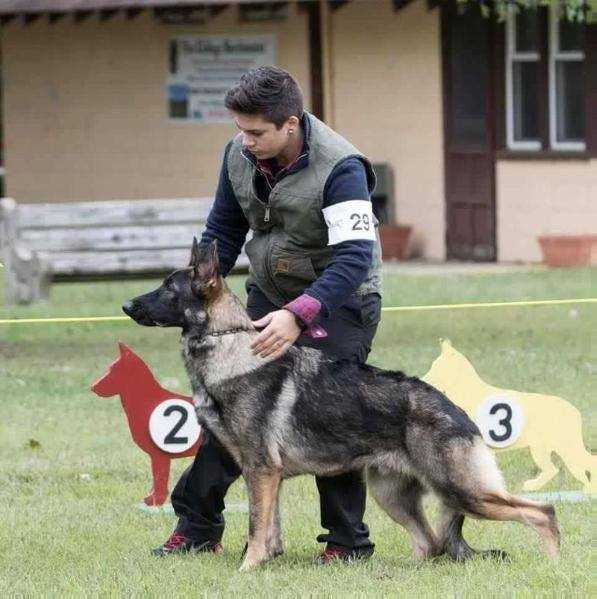 Aramists Poker Face V Lasvada