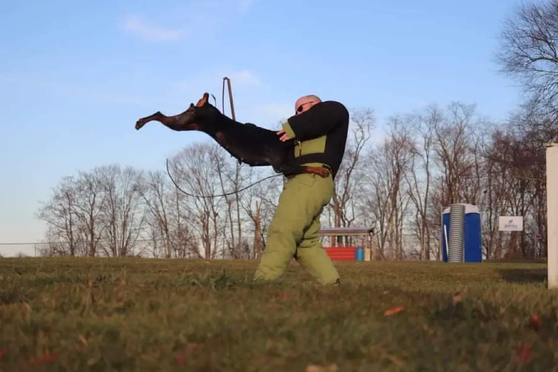 Benchmark’s Extremely Dangerous