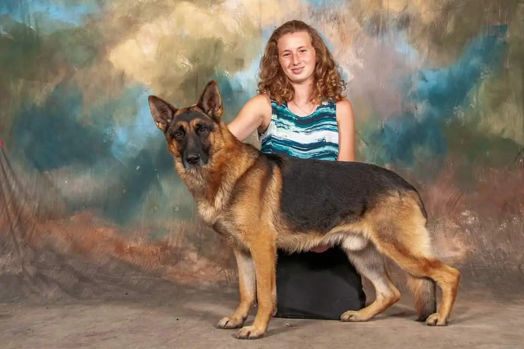 UKC GCH Hendon's Final Verdict