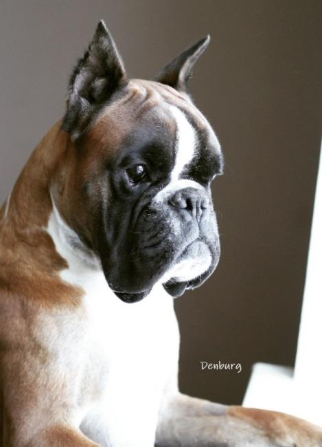 Ch. Rio Del Cabezo La Jara