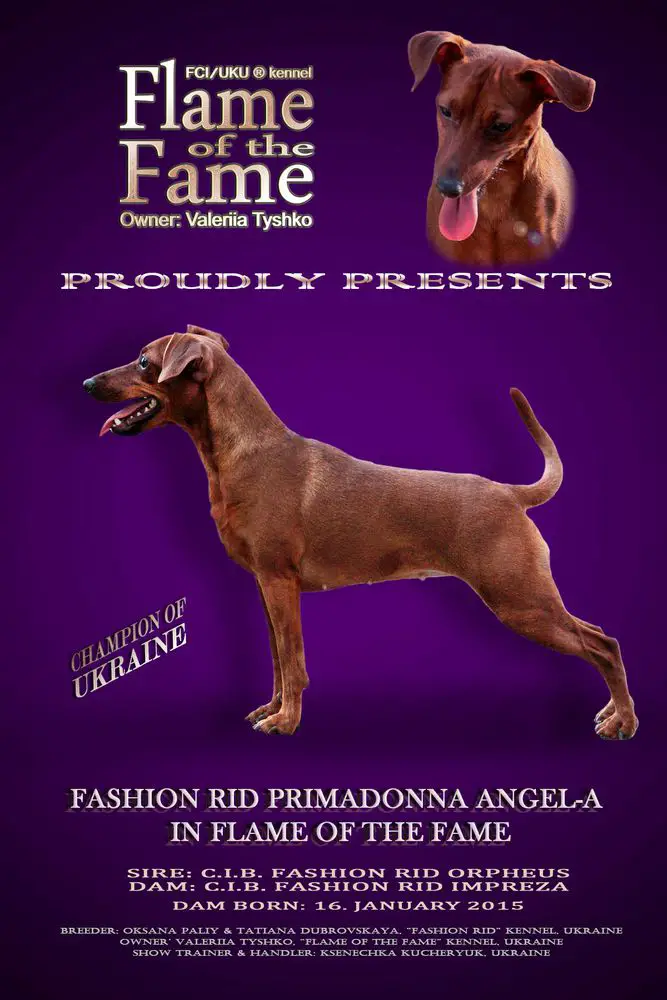CH UA Fashion Rid Primadonna Angel-A In Flame Of The Fame