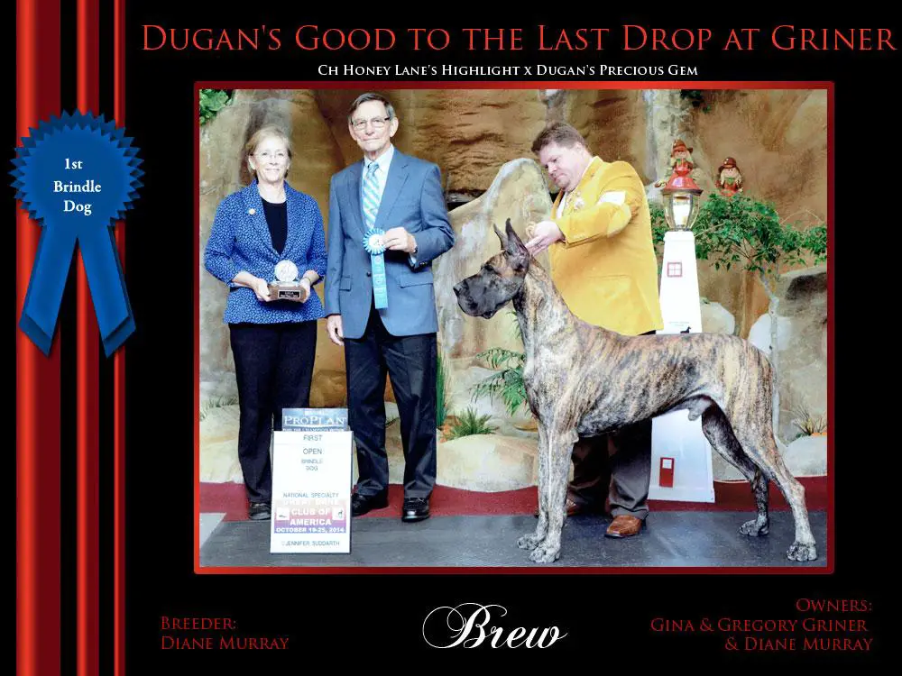 Int CH., AKC GCHB. Dugan's Good To the Last Drop At Griner AOM