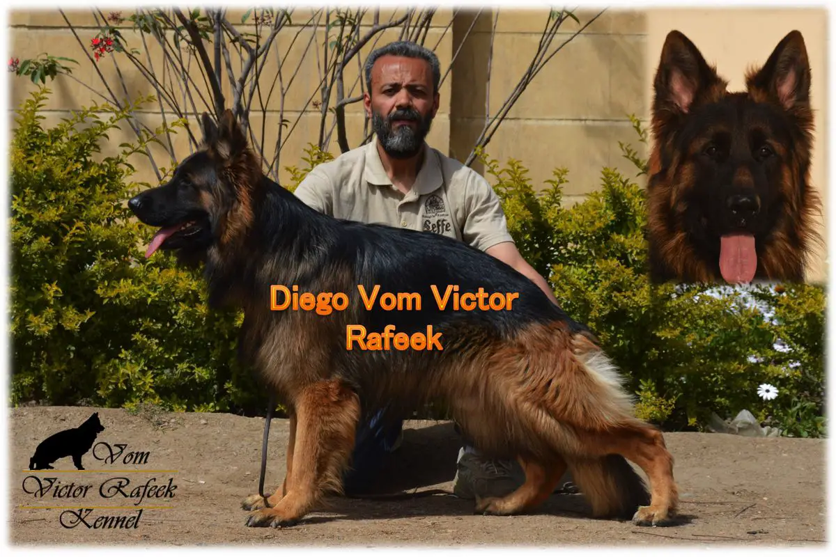Diego Vom Victor Rafeek