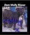 Risner's Molly