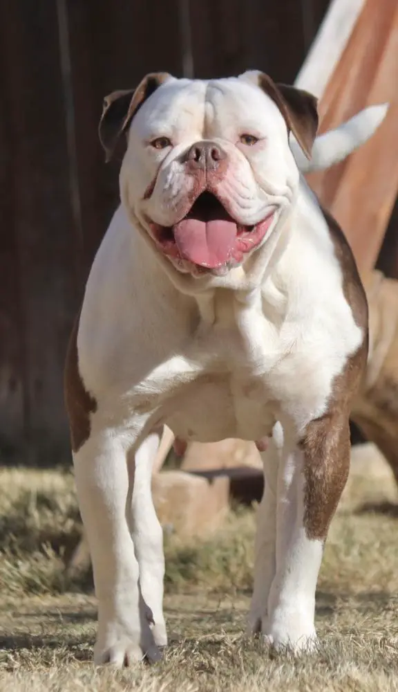 Cole Creek’s Tinsley