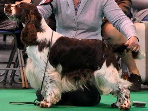 Beresford Special Delivery