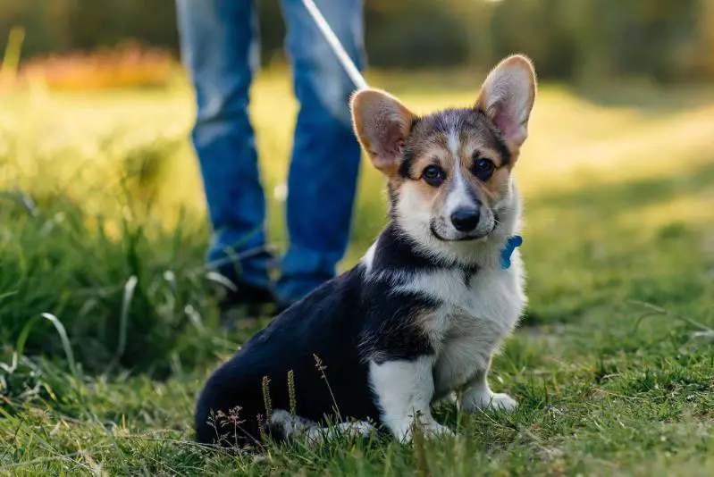 Frei Wind Yucatan (n/b)