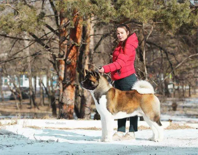 CH IRON SPIRIT IVAN GROZNIY