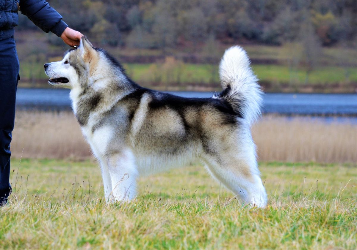 Letˋs Get Ready To Rumble Vasilyev Ostrov