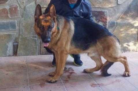 Netón di Casa Villalba