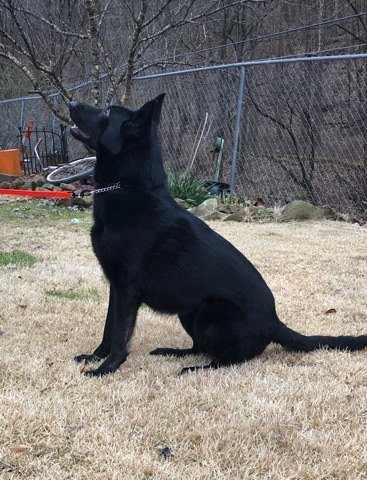 Spike Van Tiekerhook