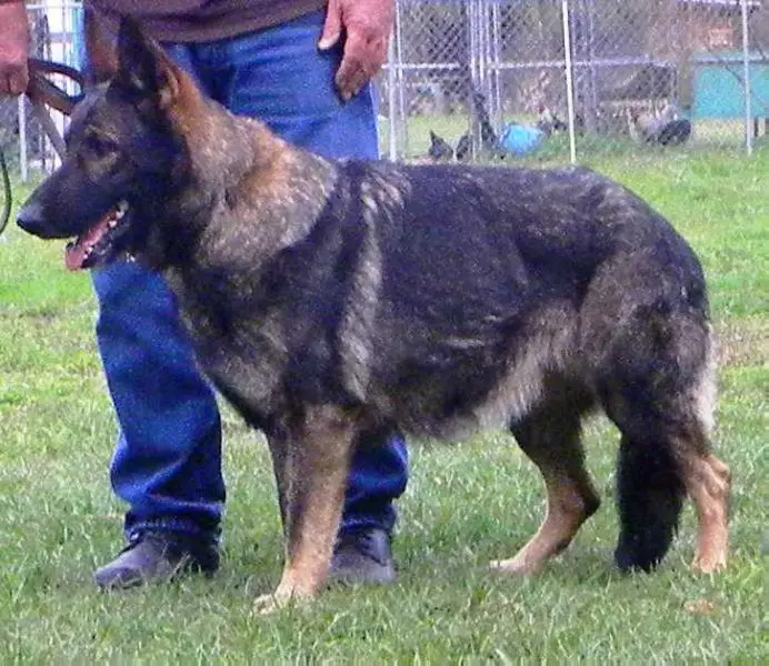 Asta von der Riverhaus