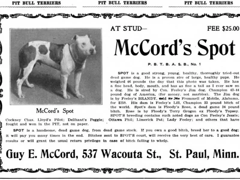 McCord's Spot
