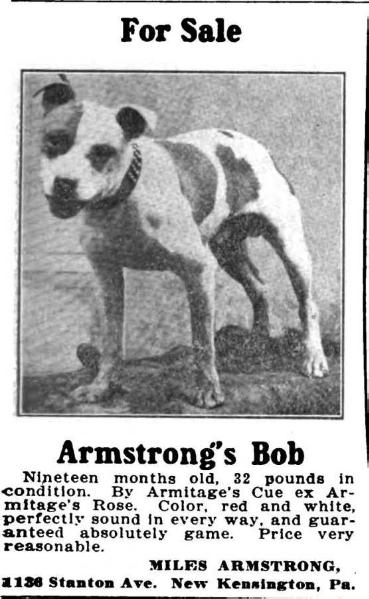 Armstrong's Bob