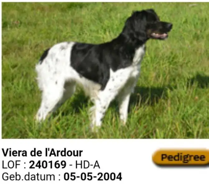 VIERA de l'Ardour