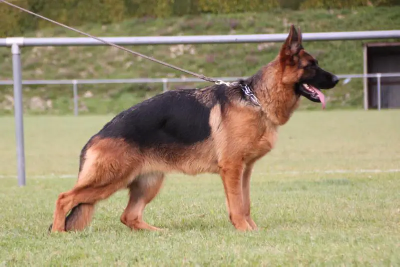 Opium des Cascades de Lusy