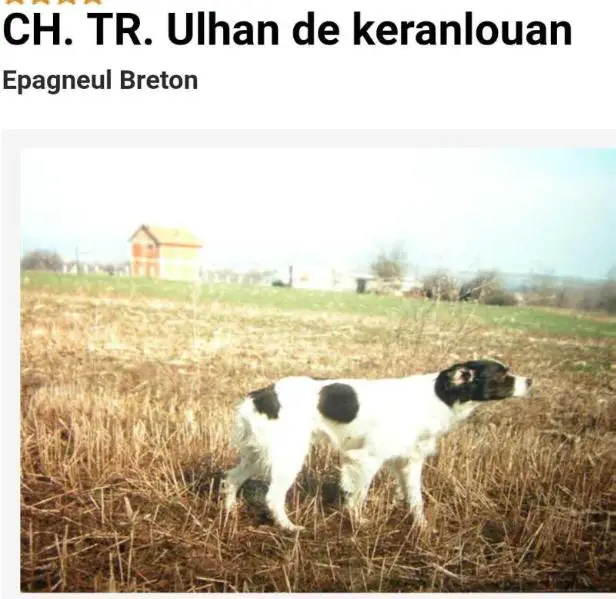 CH.IT. TR. ULHAN de Keranlouan