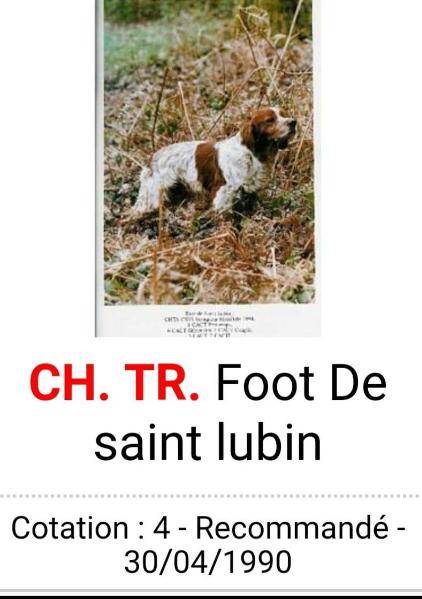 Cot.4/6 ChFCS. ChIB. FOOT de Saint Lubin