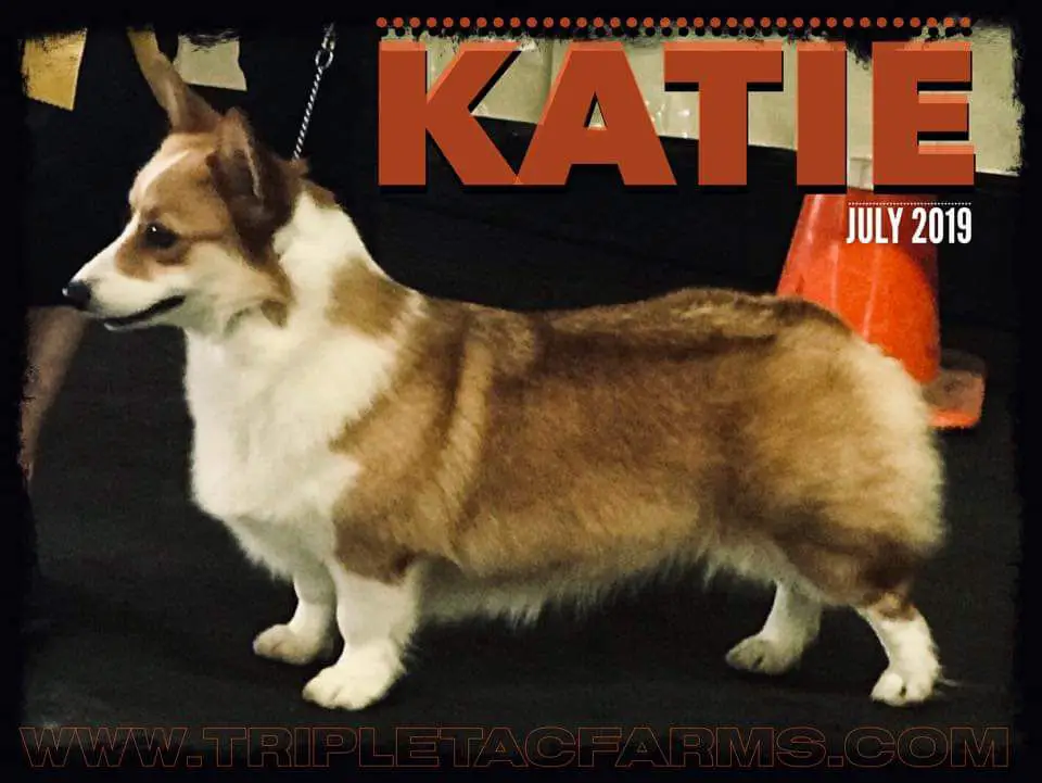 Tamera's It's Complicated