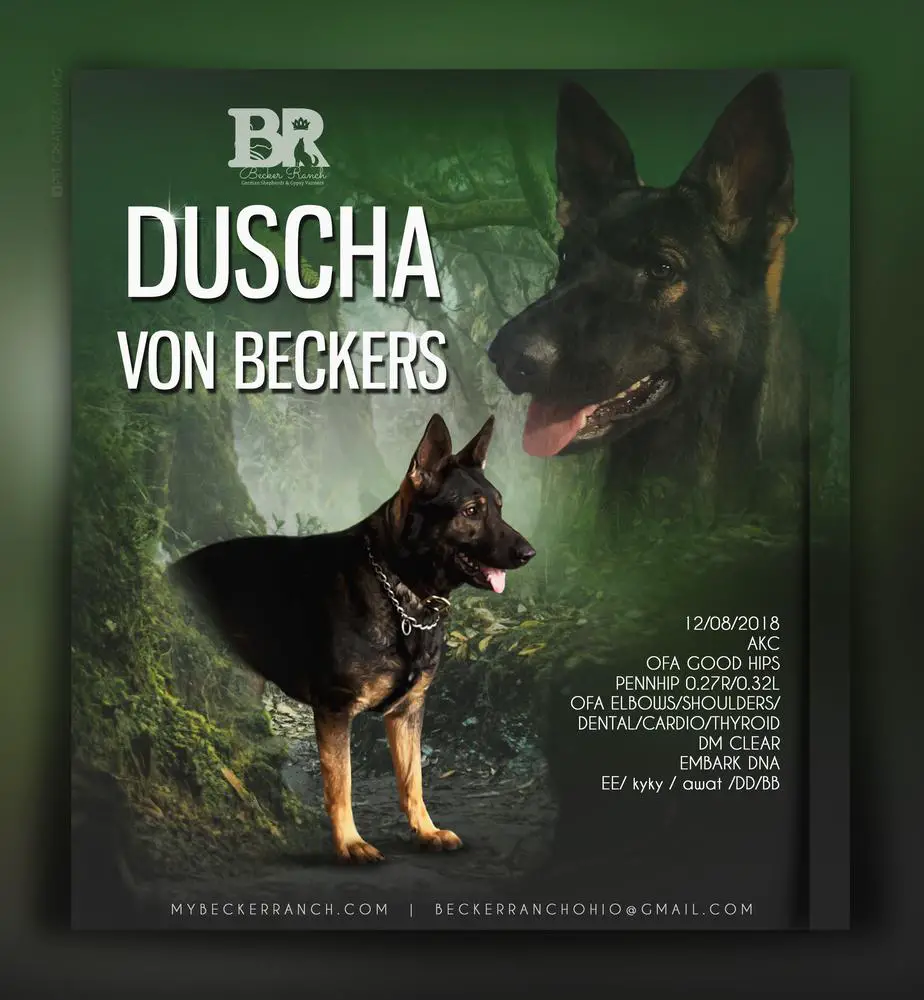 Duscha Von Becker