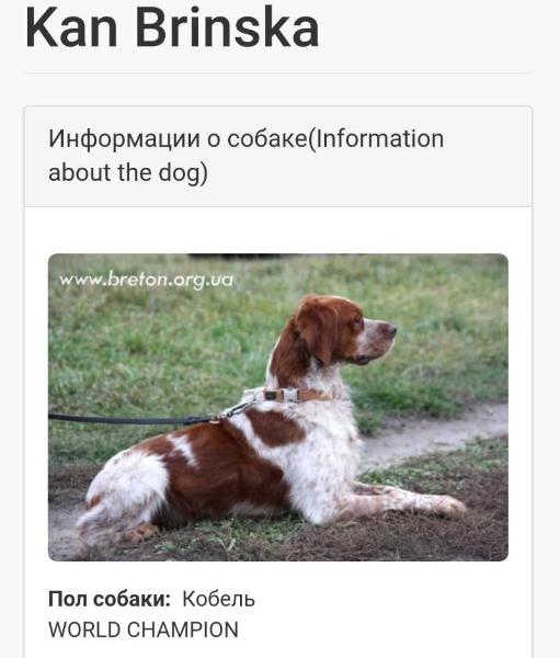 CH INT, WORLD, UKR, RKF, RUS, BUL, EUR, FT-patridge, pheasan KAN Brinska