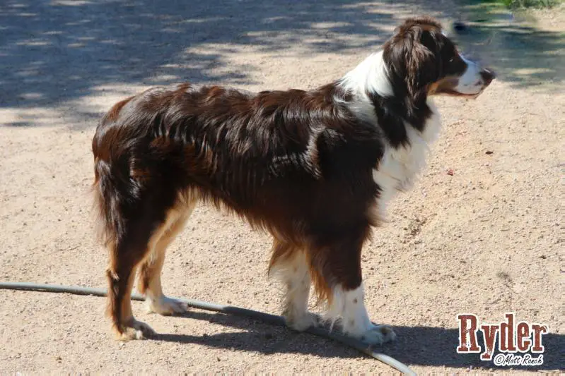 Freestyle's Marlboro Man