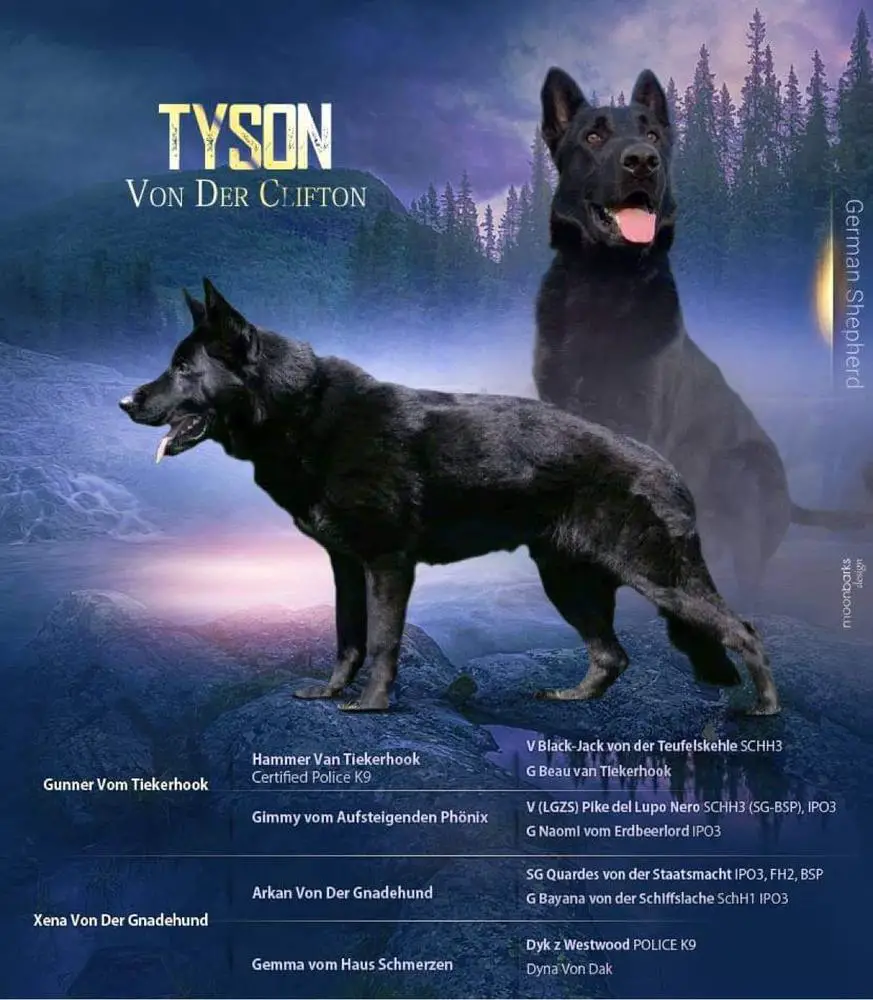 Tyson Von Der Clifton