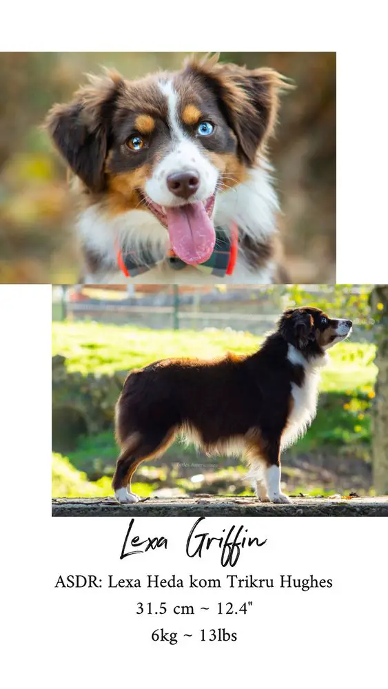 Lexa Heda kom Trikru Hughes