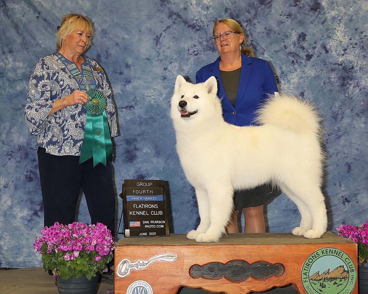 GCH Doubletake's Rippling Waters at Chinookwind