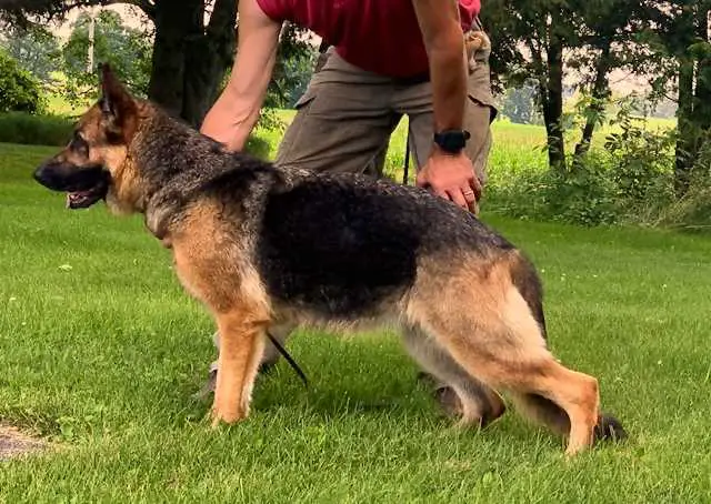 Cali Von Selten Ruhe