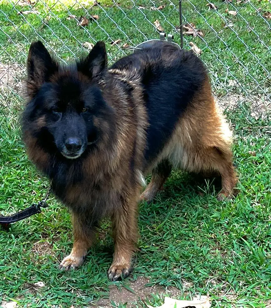 Onagy Von Delacruz