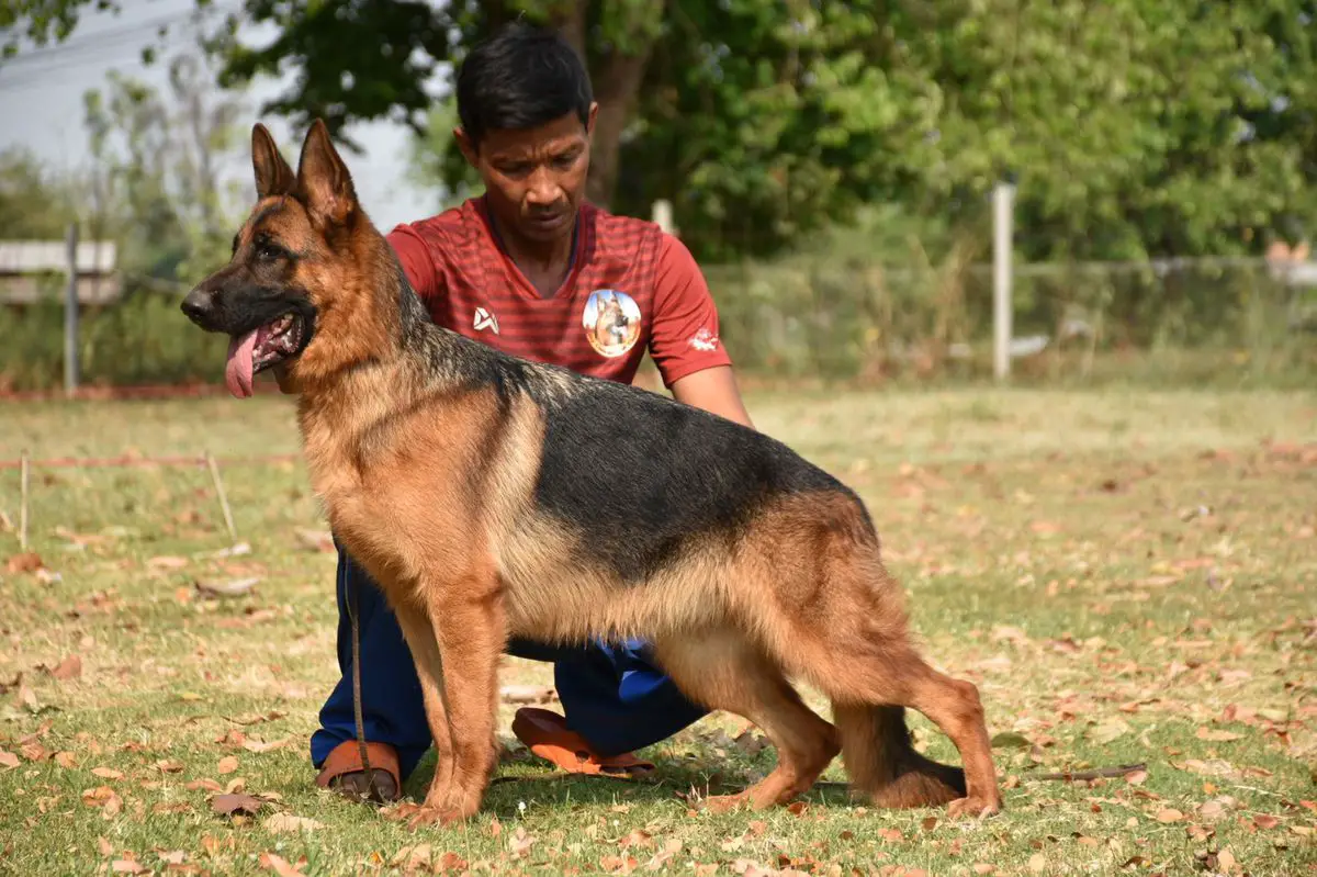 Sg Jennifer vom Richy Club