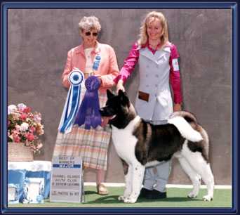 AKC CH Bearbrand's Hero The Magical