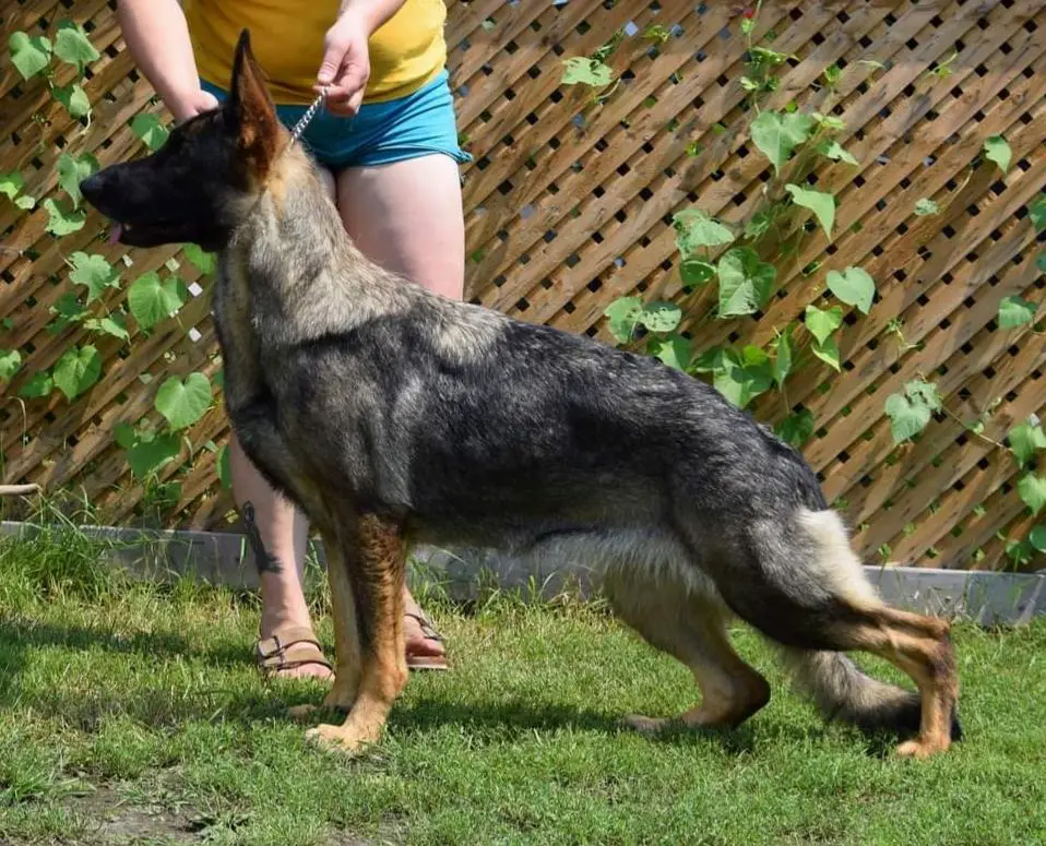 Sablehill's Redneck Women