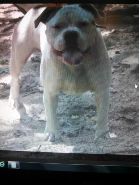 Baptist Deacon of A.S.