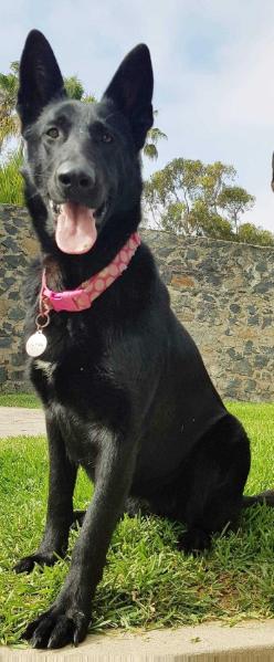 Jade (Ascencio) (2017)