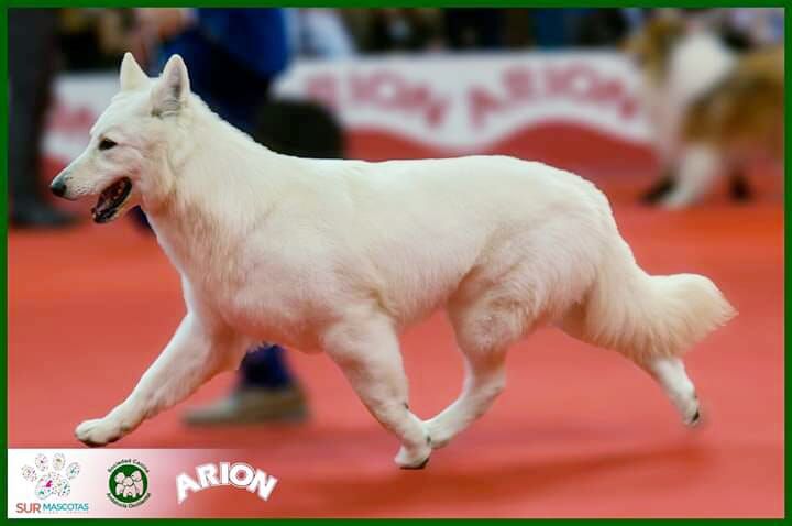 afrodita de soto de riofrio