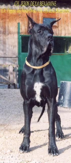 CH Jeson De La Benjamin