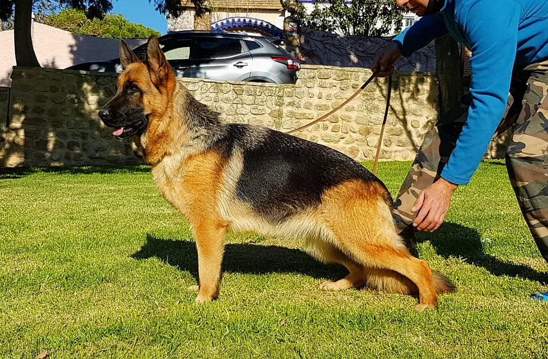 Hacha de Marques del Vado