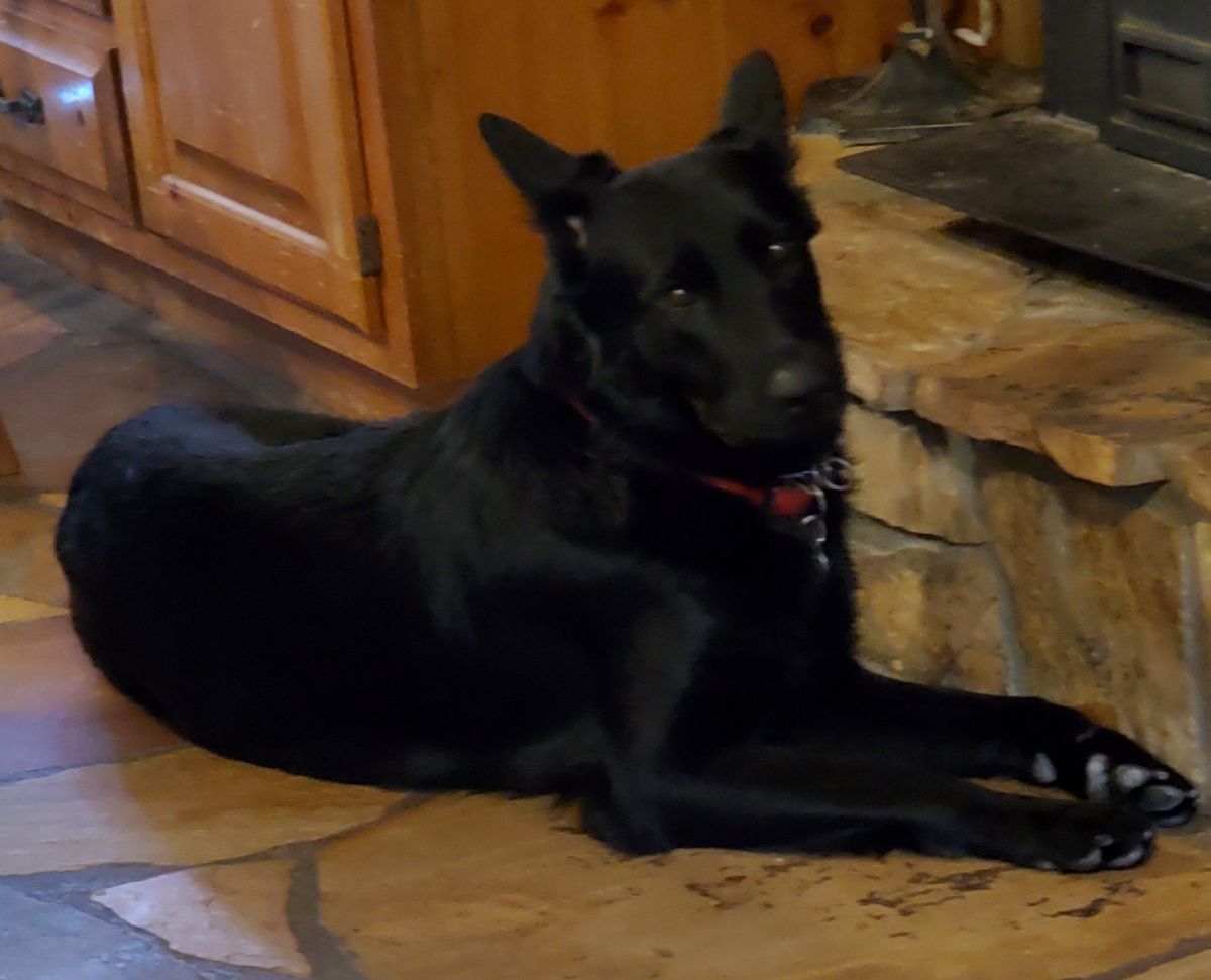 Aoibhinn Vom Rompire