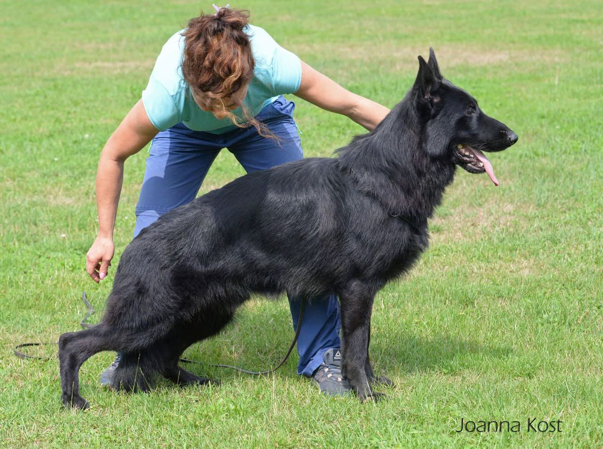 Sheriff vom Legends Team