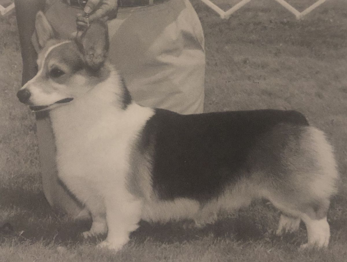 CH Bluemoon Small Town Scandal